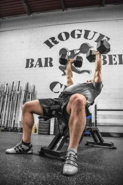Rogue Fitness AB-2 Adjustable Bench -Rogue Fitness shop AB 2 WEB3 fl7v2w
