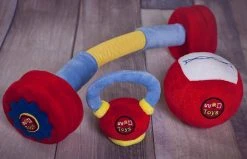 WOD Toys ® Baby WOD Toys ® -Rogue Fitness shop BABYWODTOYS WEB3 ja70x9