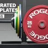 Rogue Fitness Rogue Calibrated KG Steel Plates -Rogue Fitness shop IP0519 h lr2zpq