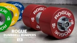 Rogue Fitness Rogue Dumbbell Bumpers