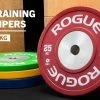 Rogue Fitness Rogue Color KG Training 2.0 Plates (IWF) -Rogue Fitness shop IP0531 h txpwpd