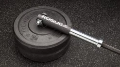 Rogue Fitness Post Landmine