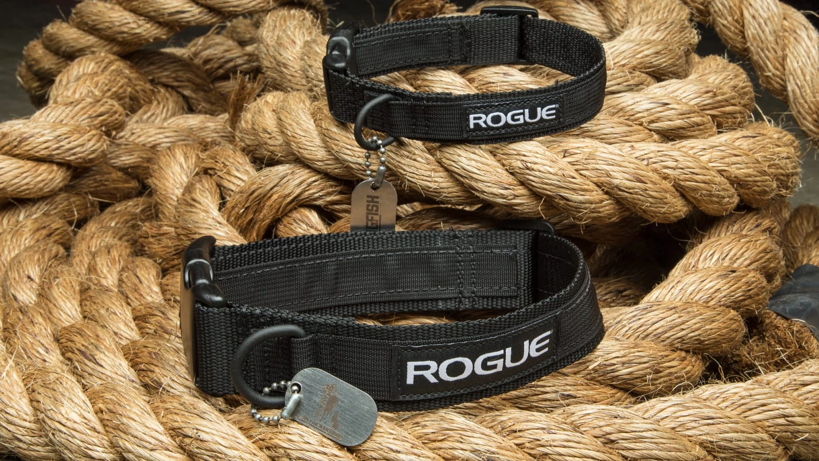 Rogue Fitness Rogue Dog Collar MIL Edition 3 Rogue Fitness Rogue Dog Collar MIL Edition