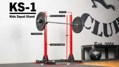 Rogue Fitness Rogue KS-1 Kids Squat Stand