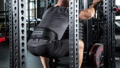 Rogue Fitness Rogue Monster Rhino Belt Squat - Drop-In -Rogue Fitness shop RA1592 BLACK MG web10 dbfype