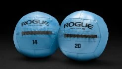 Rogue Fitness Rogue Color Medicine Balls