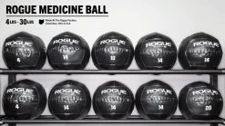 Rogue Fitness Rogue Medicine Balls