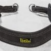 Spud Inc Belt Squat Belt -Rogue Fitness shop SP0035 H ogqo2b
