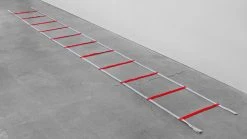 Powermax Web Agility Ladder