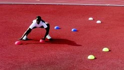 Powermax Agility Domes