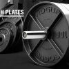 Rogue Fitness Rogue Deep Dish Plates 1 Rogue Fitness Rogue Deep Dish Plates -Rogue Fitness shop USC0003 H xjgacv