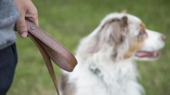 Rogue Fitness Rogue Leather Dog Leash 11 Rogue Fitness Rogue Leather Dog Leash -Rogue Fitness shop WL0016 WEB3 fz7akh