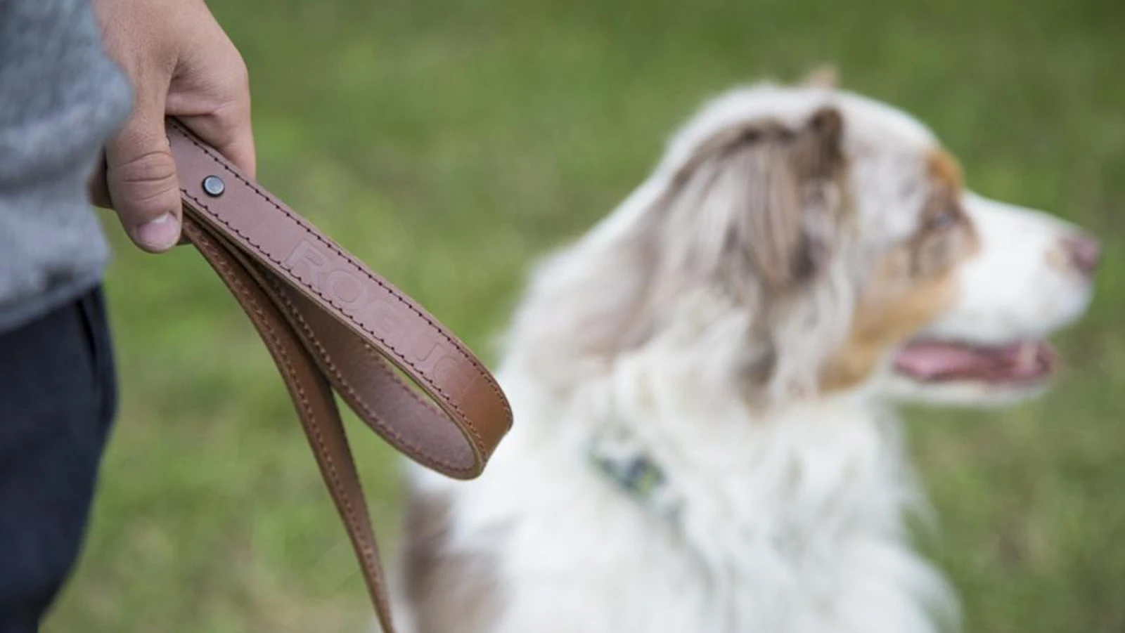 Rogue Fitness Rogue Leather Dog Leash 7 Rogue Fitness Rogue Leather Dog Leash - Image 5