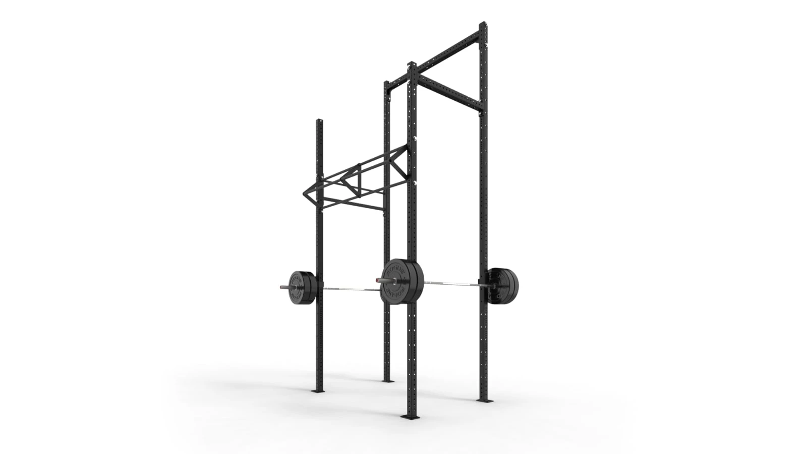 Rogue Fitness Rogue V2 Castro Rig 3 Rogue Fitness Rogue V2 Castro Rig