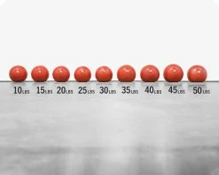 Rogue Fitness Rogue Echo Slam Balls -Rogue Fitness shop XX13219 web2 vsjsnm