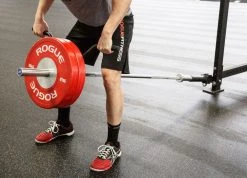 Rogue Fitness Rogue Landmine Handles -Rogue Fitness shop XX3127 WEB2 cshcuj