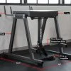 Rogue Fitness RH-2 Rogue Reverse Hyper -Rogue Fitness shop XX8199 H tyvshg