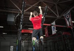 Rogue Fitness Rogue Monster Flying Pull-up Bar -Rogue Fitness shop monster flying pullup web2